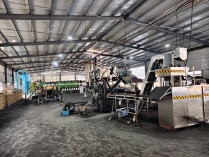 5TPH Integrated Timber Carbonization & Coal Powder Briquetting Line