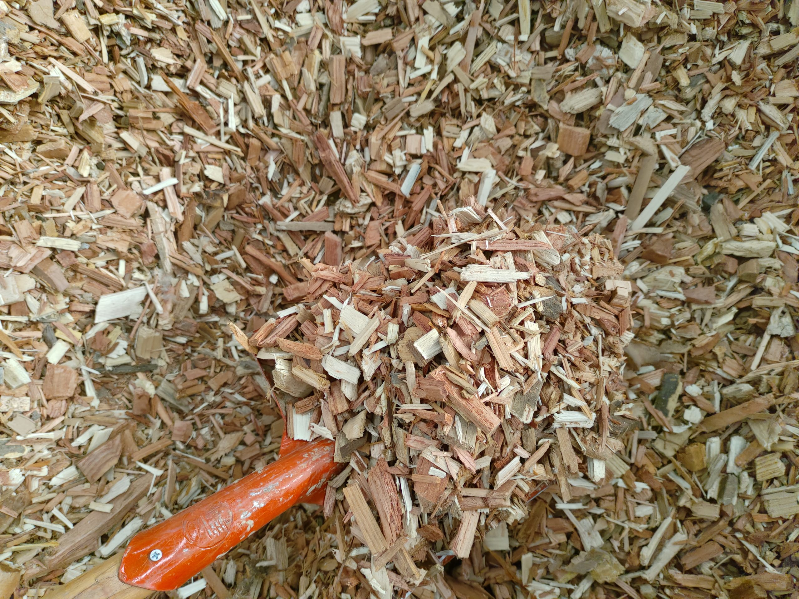 Wood chips before carbonization