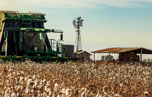 Industrial Integrated Crop & Cotton Straw Carbonization and Briquetting Solutions